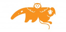 Design Gráfico Logo Asas e Amigos